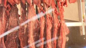 Boletim%20Agro%20em%20Campo%3A%20Carne%20bovina%20e%20su%C3%ADna%20com%20tend%C3%AAncias%20de%20alta