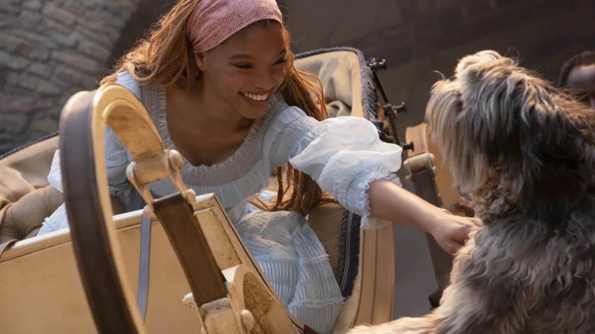 Qual é a raça de Max, o pet do Príncipe Eric em ‘A Pequena Sereia’?