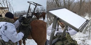 Rússia usa cavalos para transportar antenas de acesso à internet