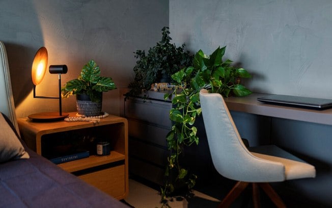4 dicas para iluminar corretamente espaços com plantas