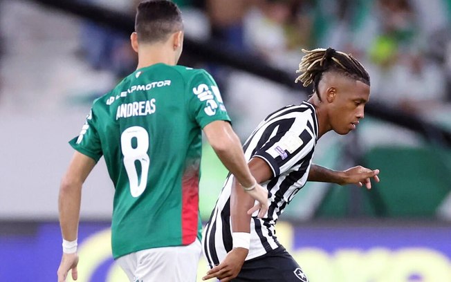 Bellão durante o empate entre Botafogo e Palmeiras, no Nilton Santos