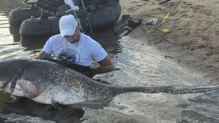 Pescador fisga bagre de 2,51 metros e bate recorde