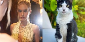 Marina Ruy Barbosa faz apelo para encontrar gato desaparecido