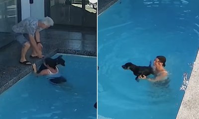 Tutora se joga duas vezes na piscina para salvar cão idoso