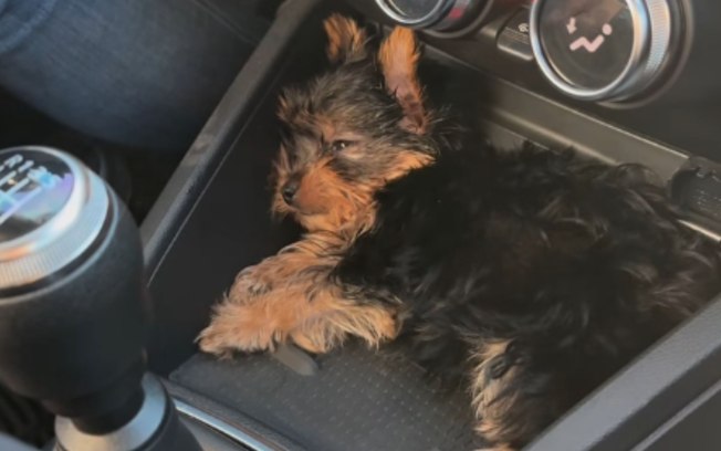 7n41pzebcvwz0ut6jr8y6y6vs