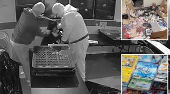 Produção de tomate bate recorde no Brasil