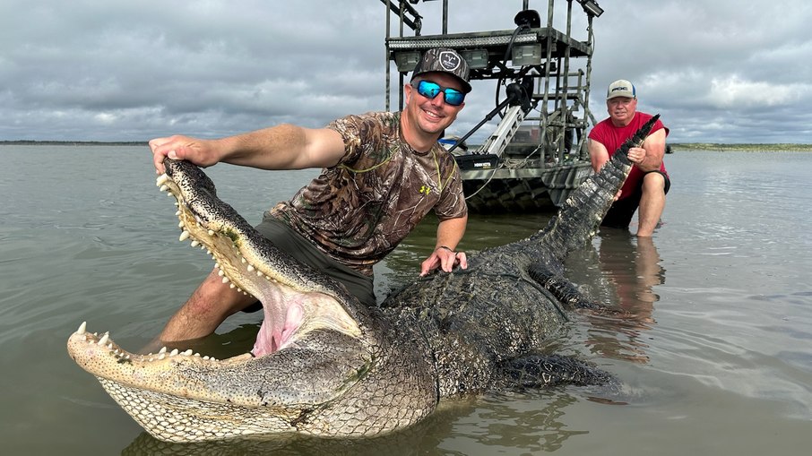 Hunter kills one of the largest alligators in Texas history; See picture