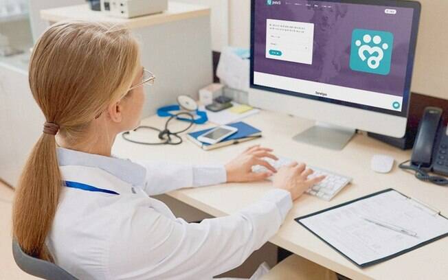 Inovação: startups movimentam novidades no mercado brasileiro