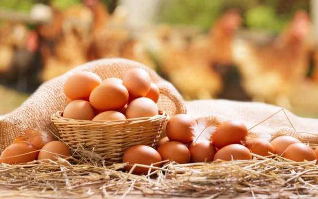 8 alimentos ricos em proteínas para inserir na dieta 8 alimentos ricos em proteínas para inserir na dieta