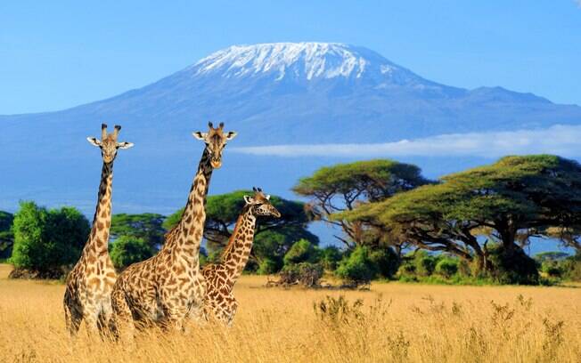 O Kilimanjaro também entra na lista de vulcões famosos por causa da discussão sobre aquecimento global e o degelo