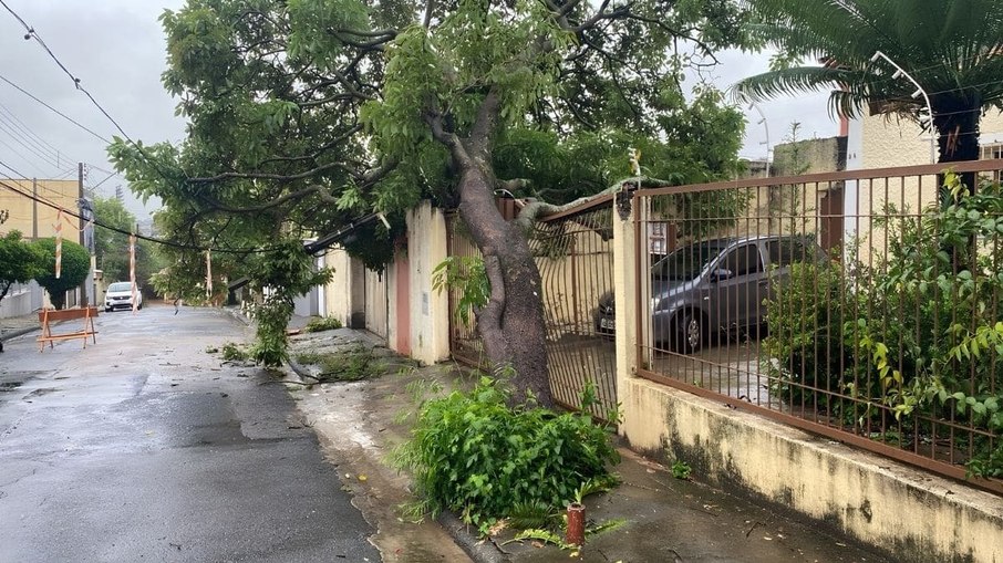 Estragos causados pelo temporal Estragos causados pelo temporal