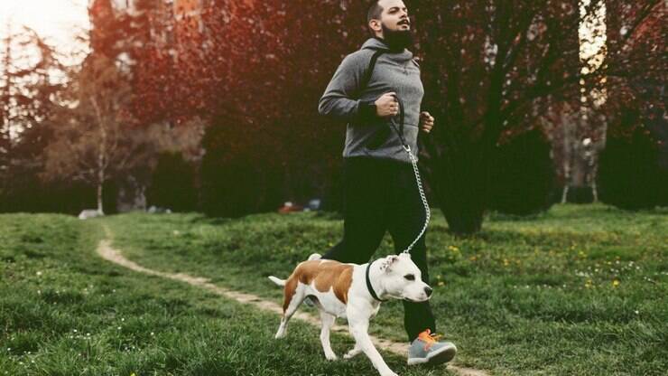 6 dicas para quem quer começar a correr com o cachorro