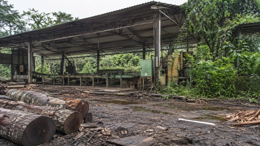 Bilionário sueco-britânico comprou a madeireira Gethal Amazonas por U$ 22 milhões, cerca de R$ 60 milhões à época Bilionário sueco-britânico comprou a madeireira Gethal Amazonas por U$ 22 milhões, cerca de R$ 60 milhões à época