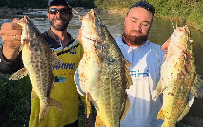 “Maior mandi do Brasil”: pescador captura
exemplar de 3,2kg