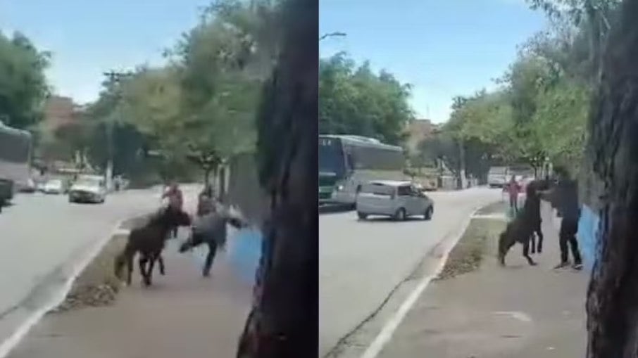 Cavalo solto ataca pedestres nas ruas de São Paulo