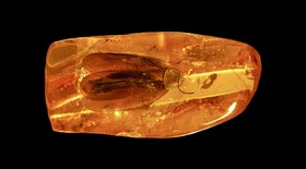 Tesouro viking de mais de 1000 anos é descoberto 