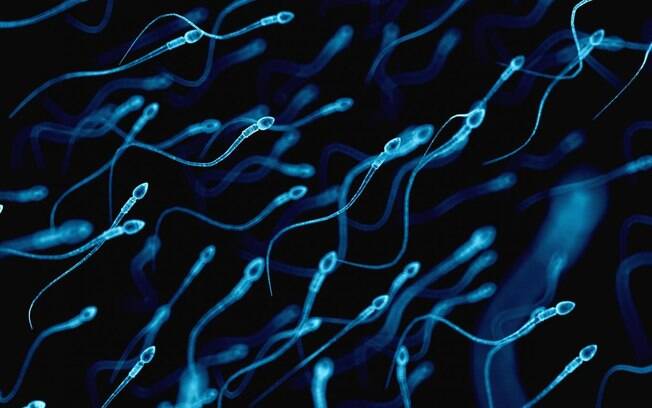 Cueca e alimentação podem atrapalhar a fertilidade