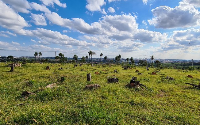 No Dia do Meio Ambiente, 648 novas ações contra infratores