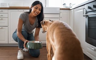 Receitas pet simples e baratas viram febre entre tutores; conheça