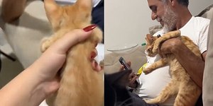 Pai se irrita com filhote de gato, mas vira melhor amigo do pet