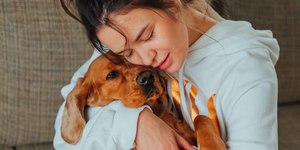 Saiba como dar banho a seco em cachorro nos dias frios