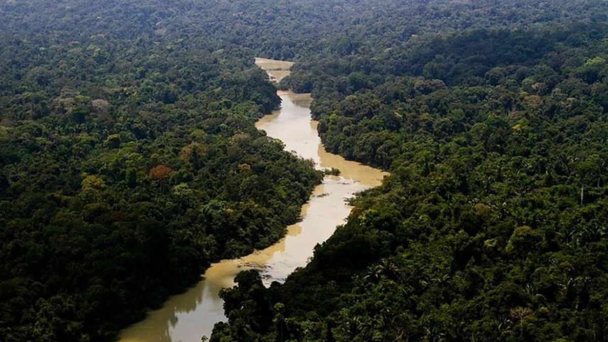 Estima-se que apenas 1% das espécies da Amazônia foram estudadas pela ciência.