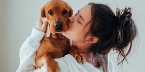 Luto canino pode desencadear problemas de saúde: observe os sinais
