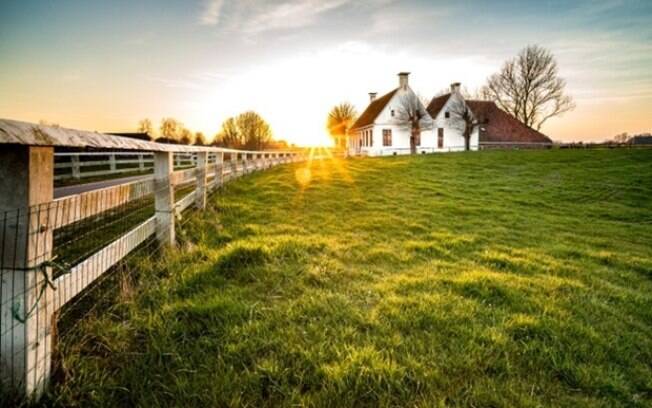 Expansão das fronteiras agrícolas aquece imobiliárias rurais