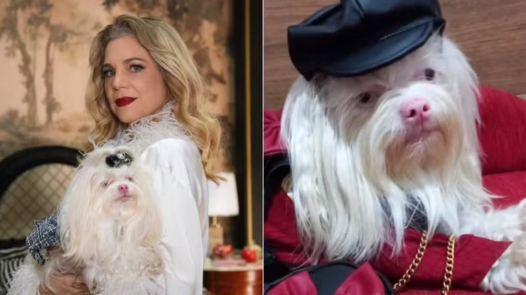 Quem é Meg, a cachorrinha que virou destaque em "Quem Ama Cuida"