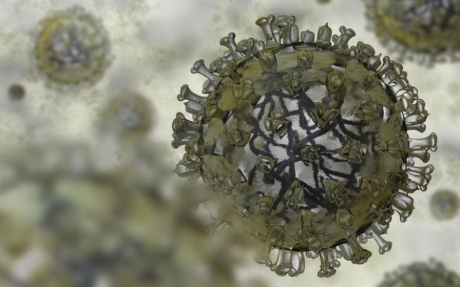 Vírus zoonóticos podem matar 12 vezes mais pessoas até 2050