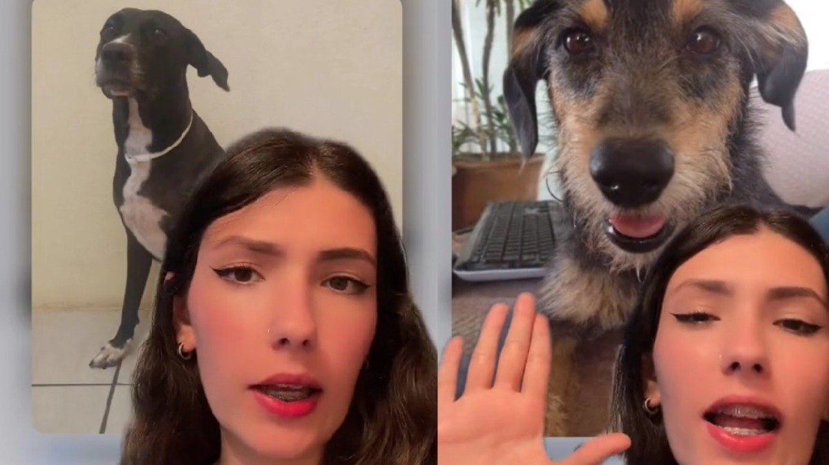 Pandora Larissa é estudante de medicina veterinária e produz conteúdo tanto no TikTok quanto no Instagram