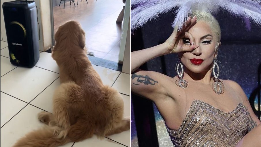 O vídeo conta com mais de 10 milhões de visualizações no TikTok O vídeo conta com mais de 10 milhões de visualizações no TikTok