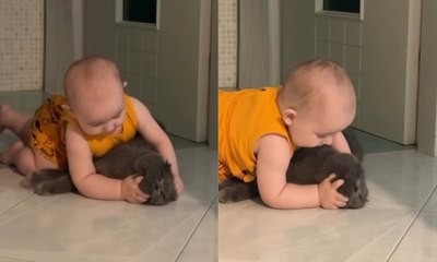 Bebês que convivem com gatos têm saúde reforçada