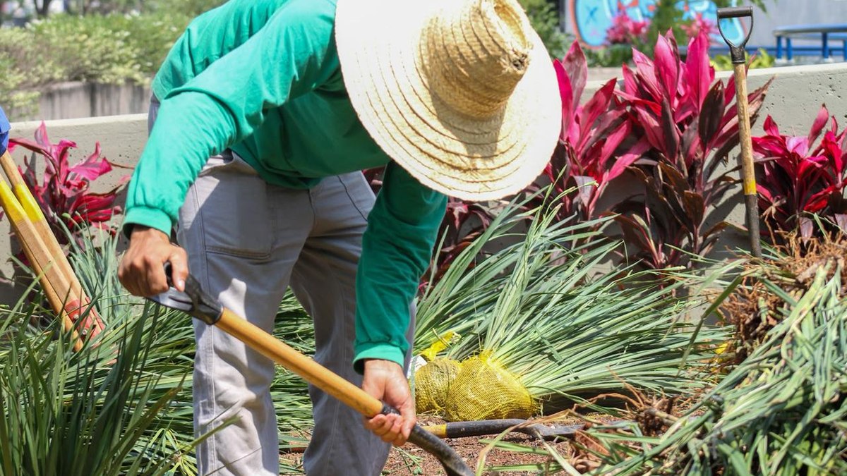 Ações para minimizar impactos ambientais