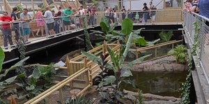 Menino de 3 anos é jogado em recinto de crocodilos de zoológico