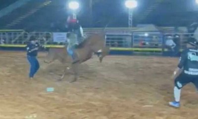 Locutor de rodeio continua narração após ser pisoteado por touro