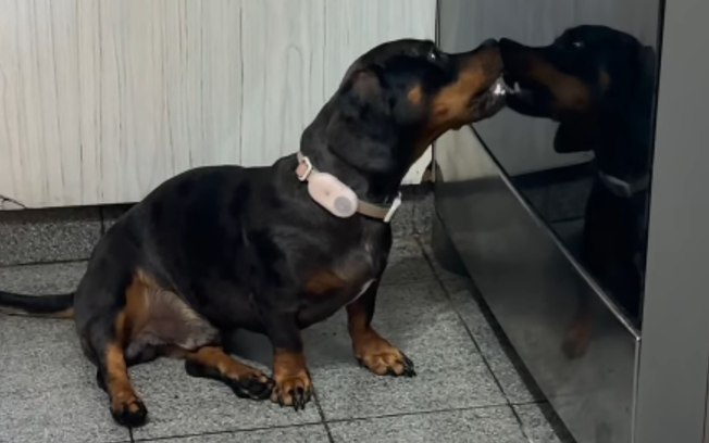 7vc9bq3bjrv397hksv0kzx8mi