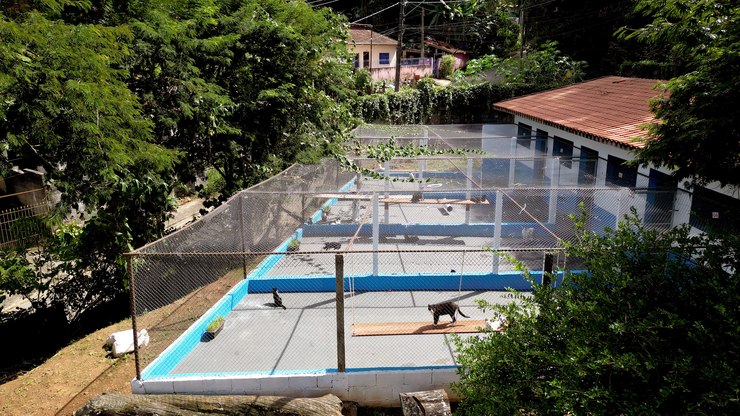 Polícia apura se há maus-tratos no Bem-Estar Animal de Campinas