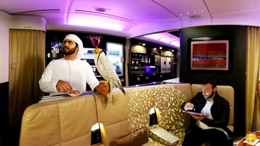 Passageiro de primeira classe voa junto ao seu falcão em avião da Eithad