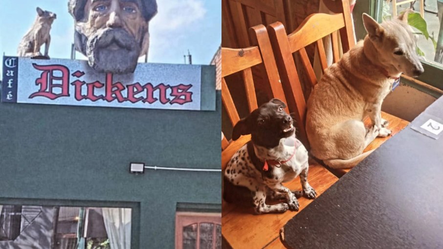Dickens, o restaurante argentino pet friendly
