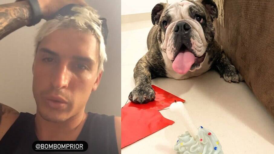 Felipe Prior, um dia após celebrar o aniversário da cachorrinha Bombom, lamenta a morte da pet