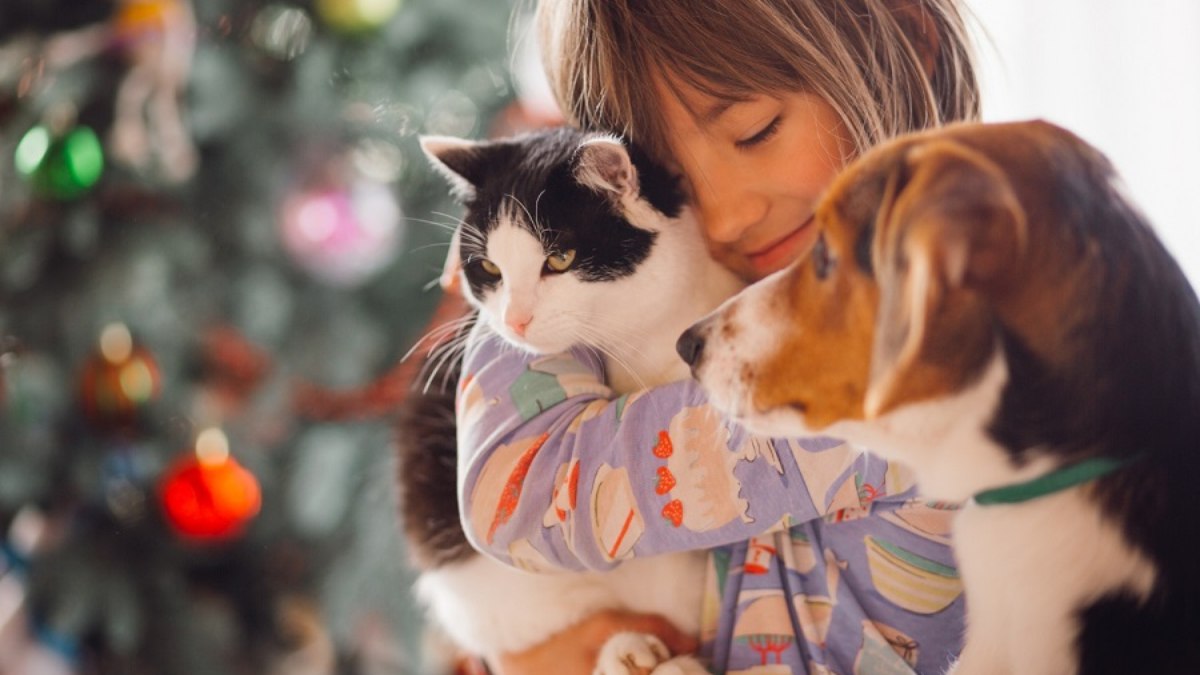 Durante o primeiro semestre de 2022, mais de 40% das acomodações no Brasil foram classificadas como pet friendly