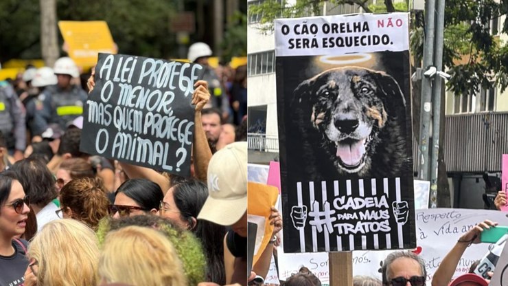 Morte do cão Orelha gera protestos em todo o país: "Justiça já"