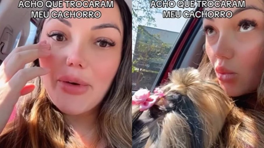 Mulher de Cotia relata troca de cachorro em pet shop após banho Mulher de Cotia relata troca de cachorro em pet shop após banho
