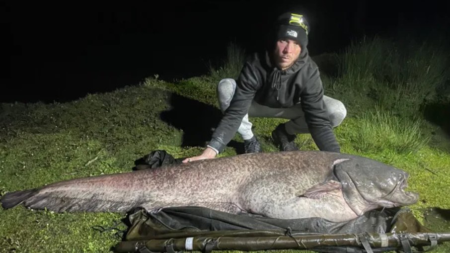 Peixe com 64 kg foi o maior do tipo já capturado em todo o Reino Unido