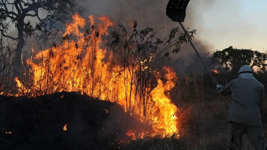 Queimadas na Amazônia