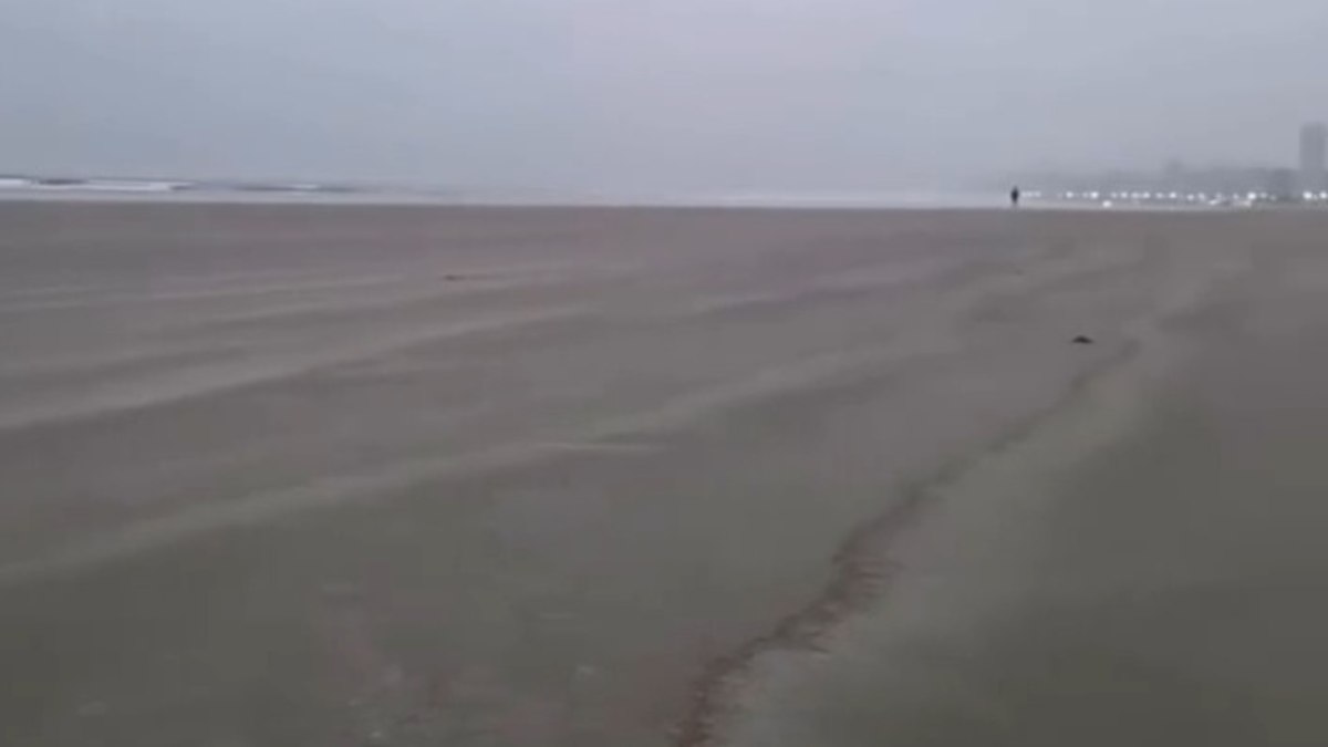 Mar “some” em praia de SP e provoca suspeita de tsunami