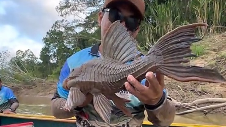 Peixe%20Bod%C3%B3%20gigante%20%C3%A9%20capturado%20no%20Rio%20Acre