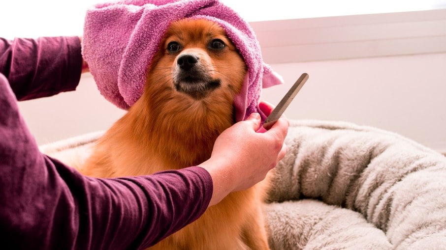 Usar produtos como cremes e sprays facilitam a escovação dos pelos dos pets