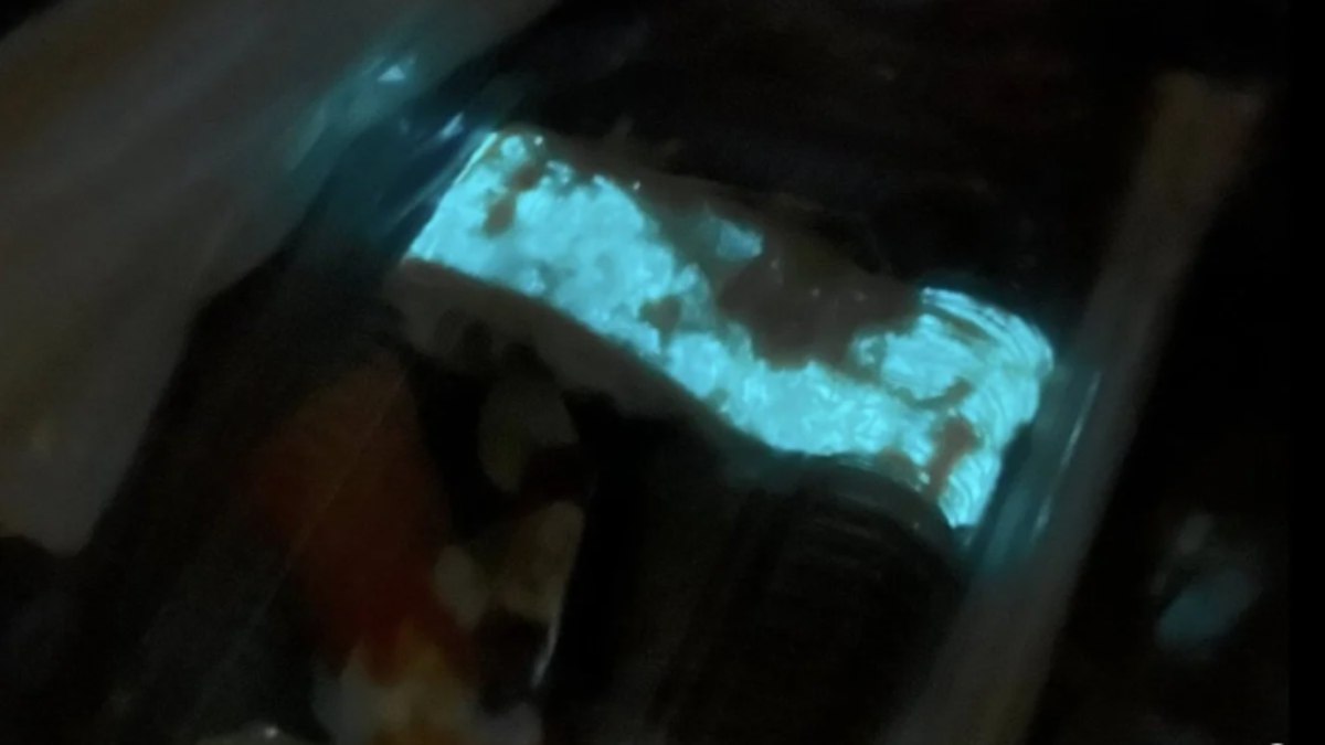 Sushi que brilha no escuro causa pânico e alerta na Tailândia Sushi que brilha no escuro causa pânico e alerta na Tailândia